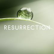 480352_578146428885576_1334641221_n