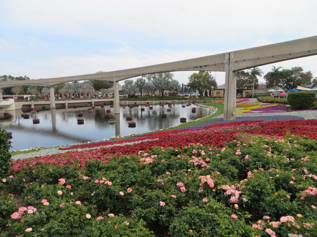 A view from Future World West