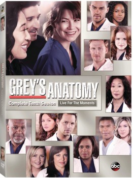 GreysAnatomySeason10DVD.jpg_rgb