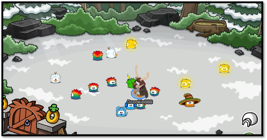 Puffles, hanging out in the “backyard”