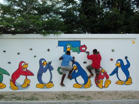 Terre Casse Climbing Wall-L