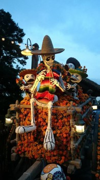 10613071_340814736096593_7982635210114996946_n