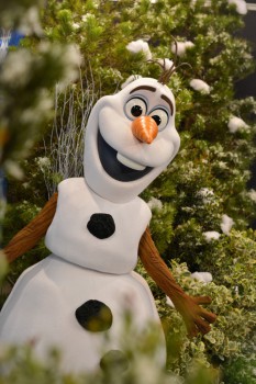 Olaf-All-Parks-Use