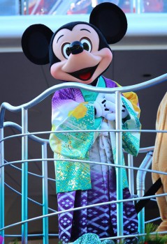 10884757_704508516332164_252838335_n