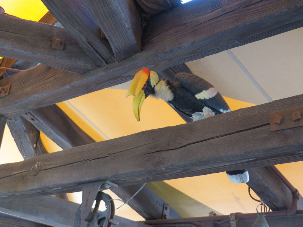 10388550594_454fea46c3_b