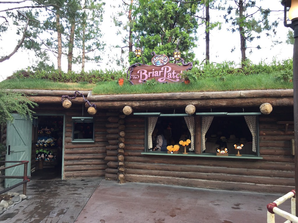 Briar Patch Disneyland