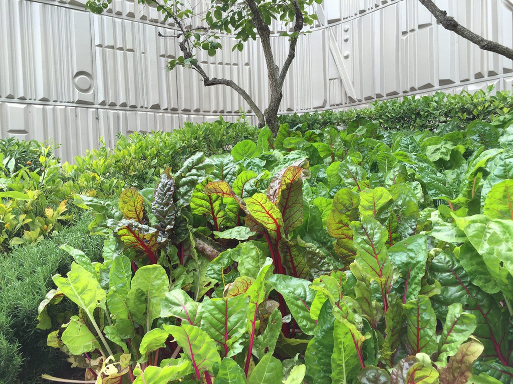 17759613909_b4dfa4640e_b