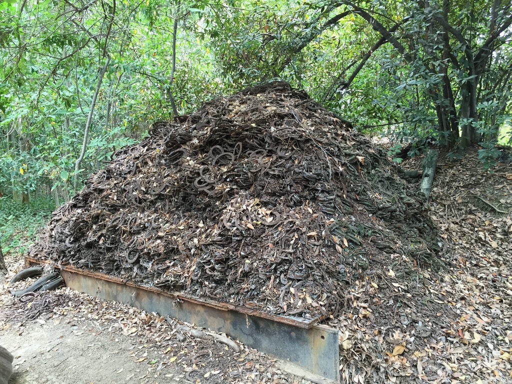 Disneyland Horseshoes 