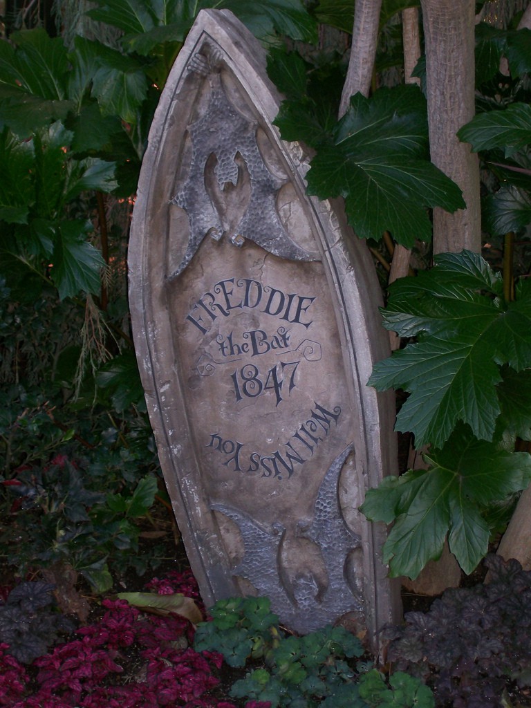 2301059811_ea9327704c_b