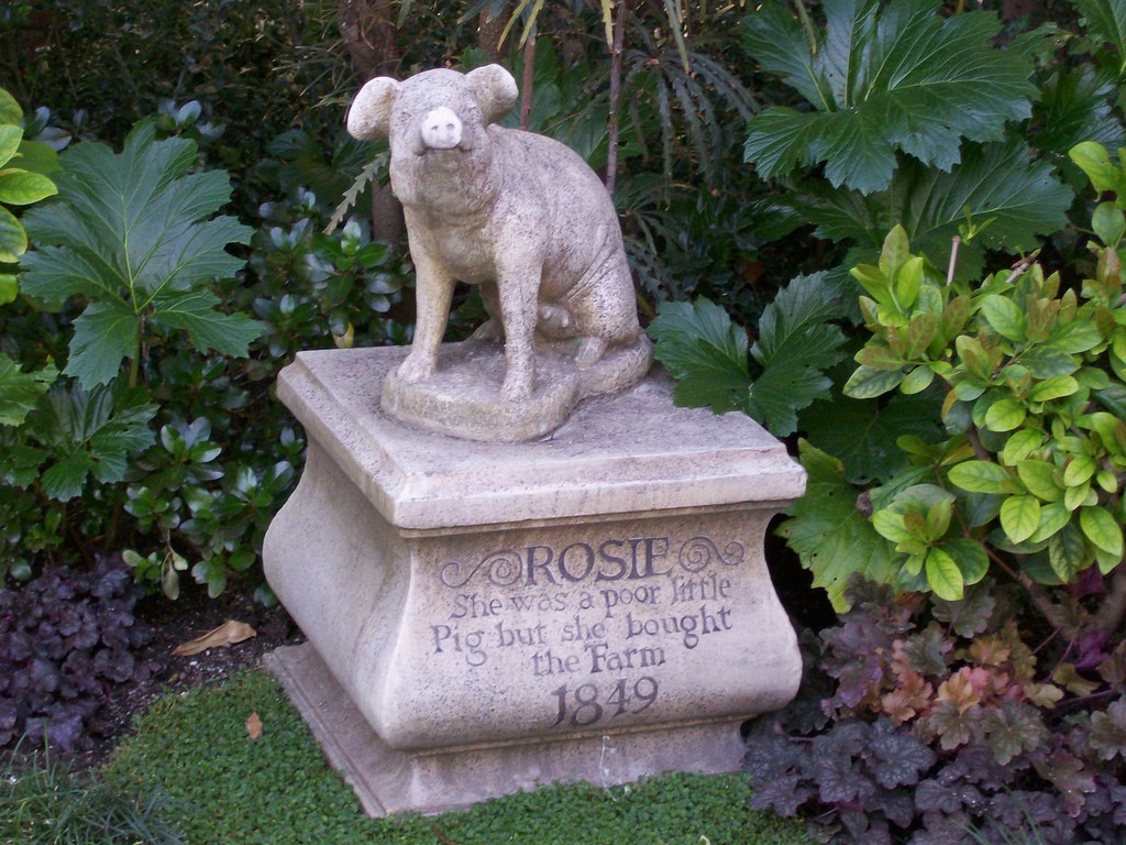 2301853374_5781648d46_b