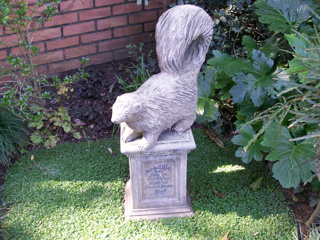 2301854902_1708d3926d_b