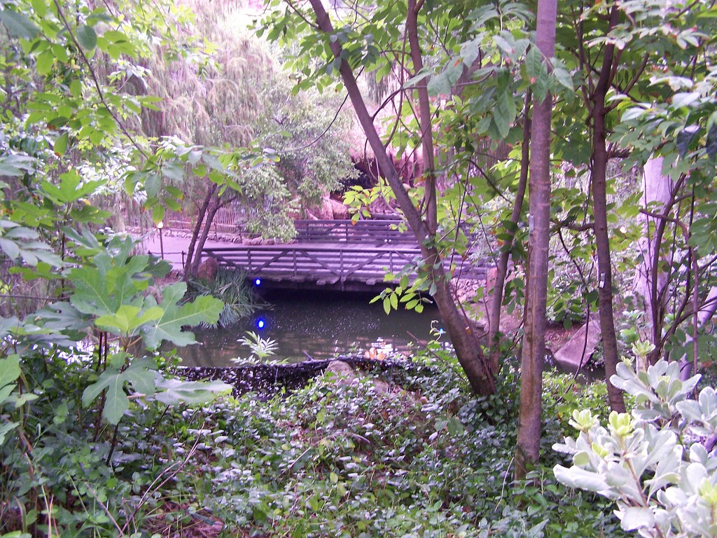 Pack Mule view currently Disneyland