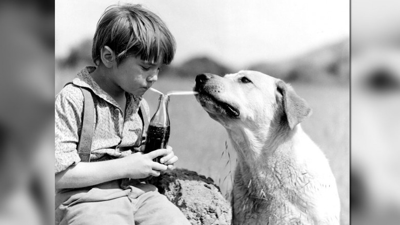 1180w-600h_disney-legend-kevin-corcoran-780x440