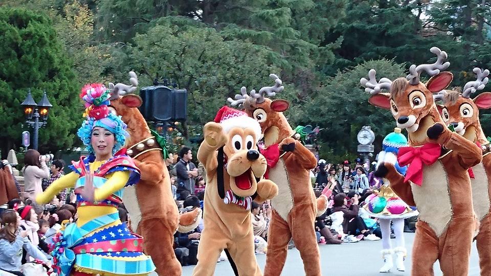 12227839_509558925888839_8883360991524300993_n