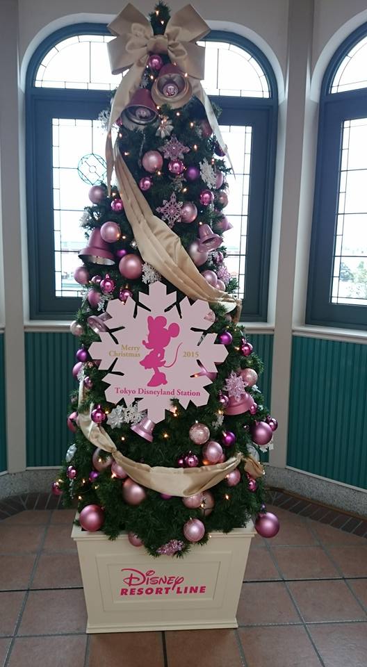 12241669_509571132554285_3833908163128317880_n