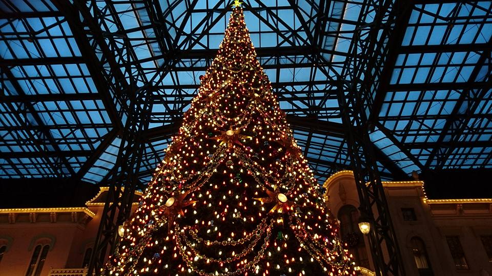 12295298_509480049230060_8459894765667957261_n