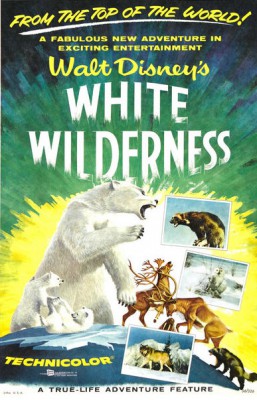 White Wilderness