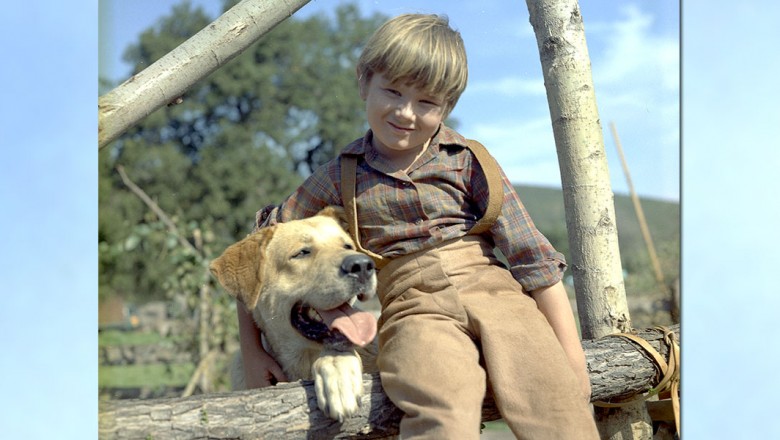 1180w-600h_remembering-kevin-corcoran-780x440