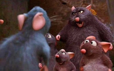 Ratarouille A113