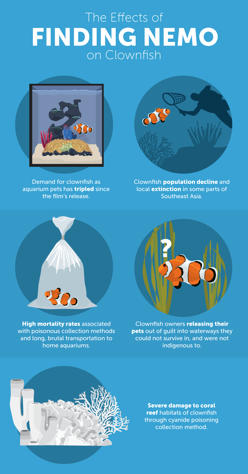 effects-of-finding-nemo-on-clownfish