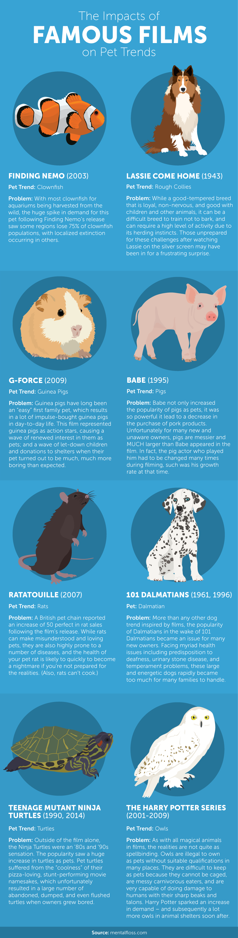 impacts-of-films-on-pet-trends