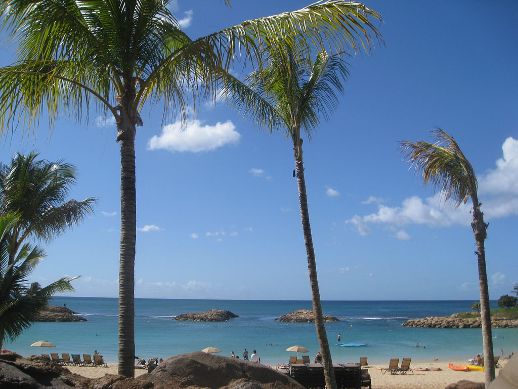 6515382209_a13d49ea98_b