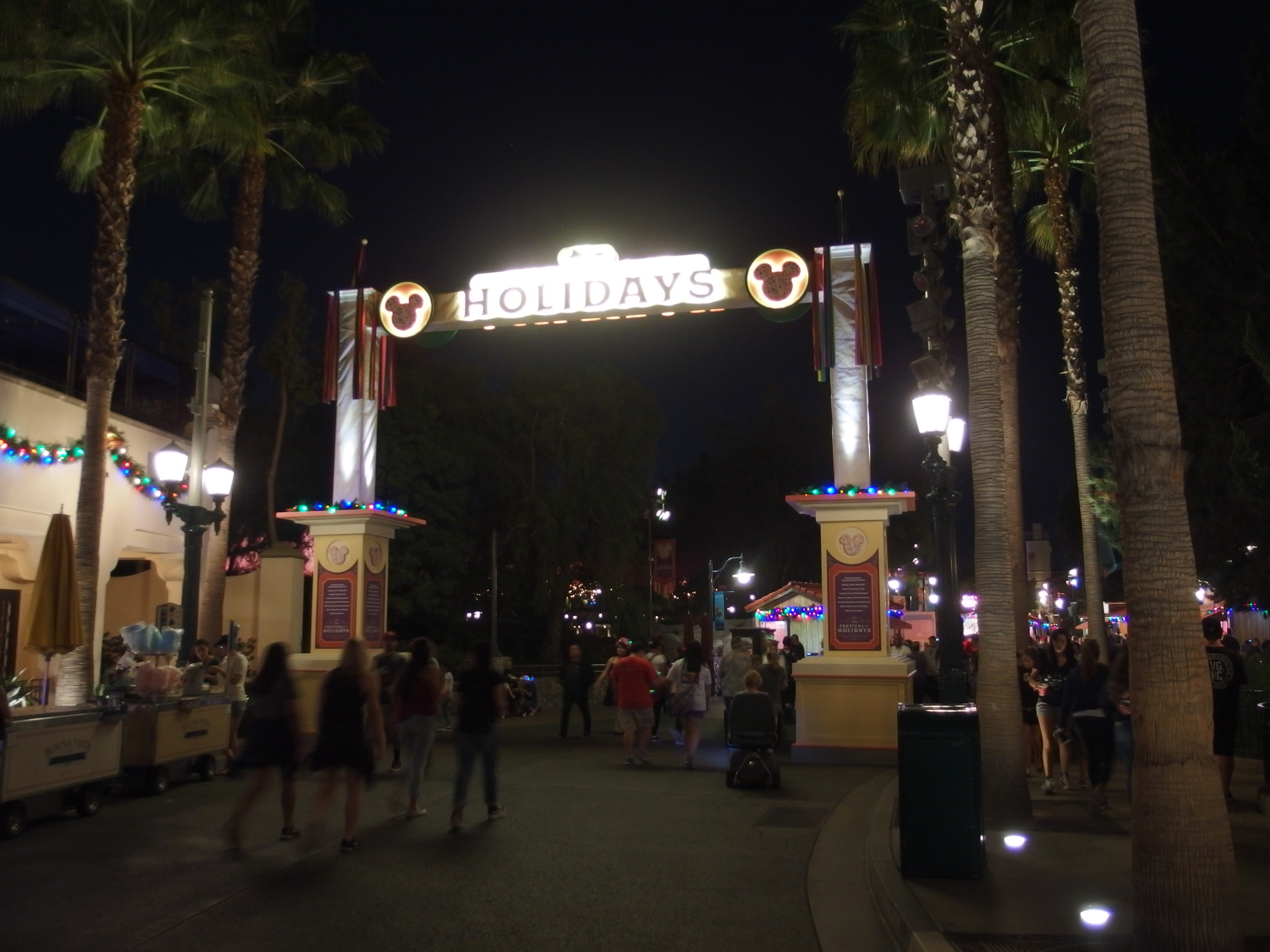 Arched entrance to the Festival of Holiday glows at night