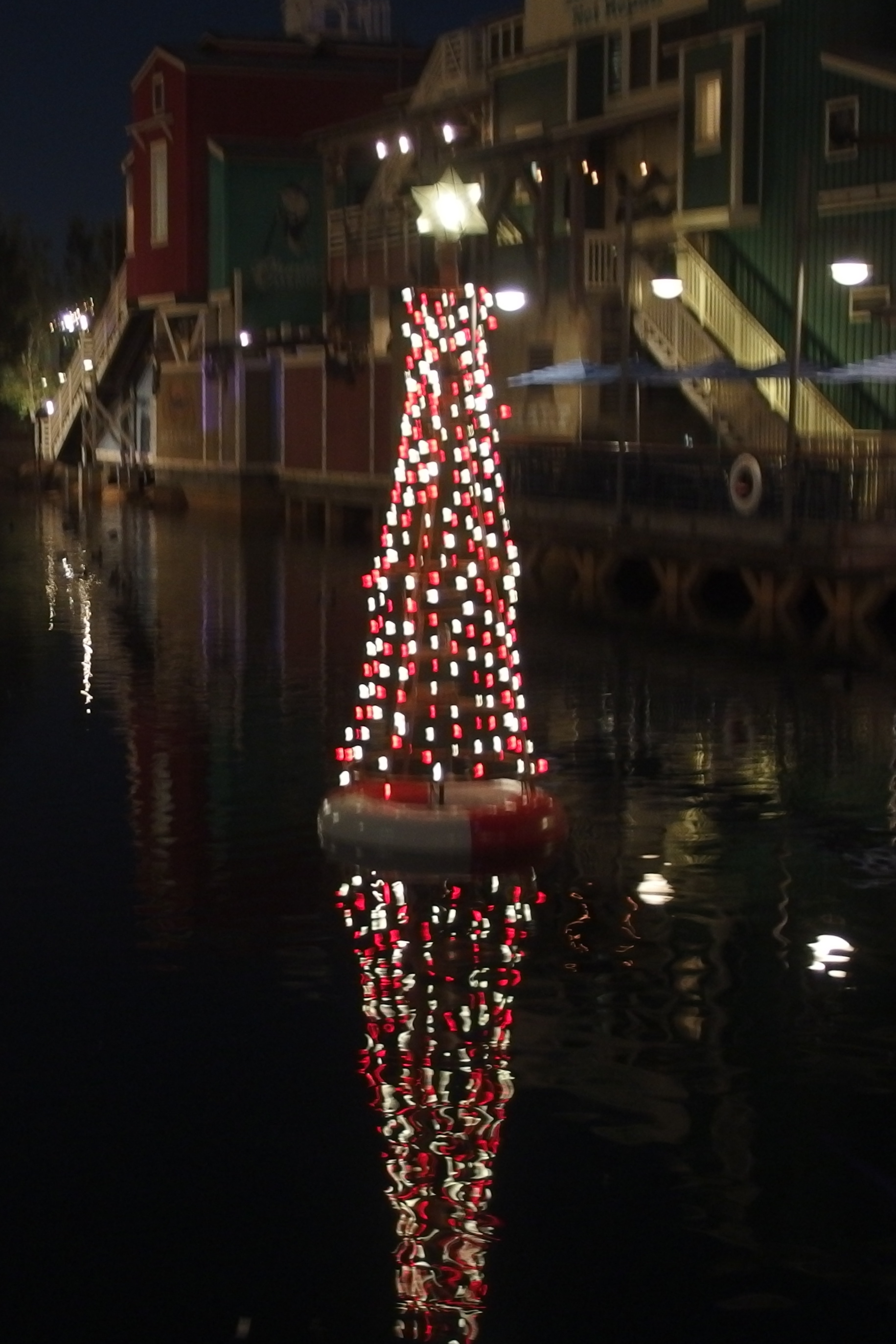 A tree decorates the waters near Pacific Wharf