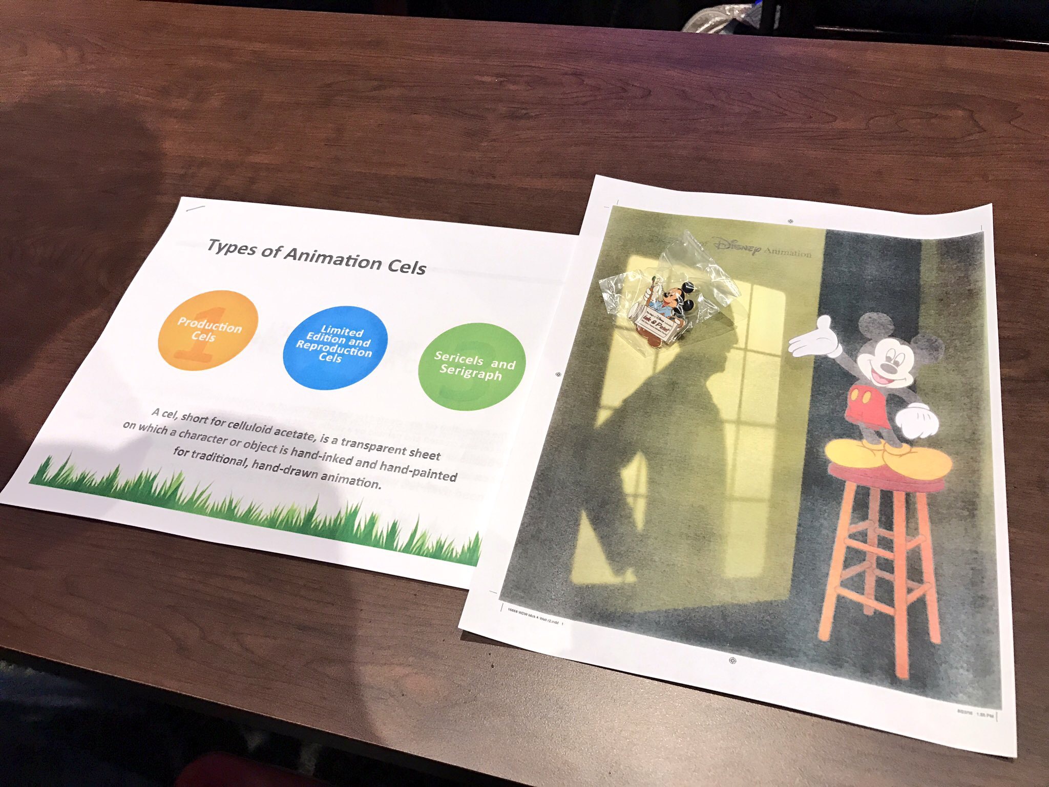 A workshop on animation comes with a collectible pin