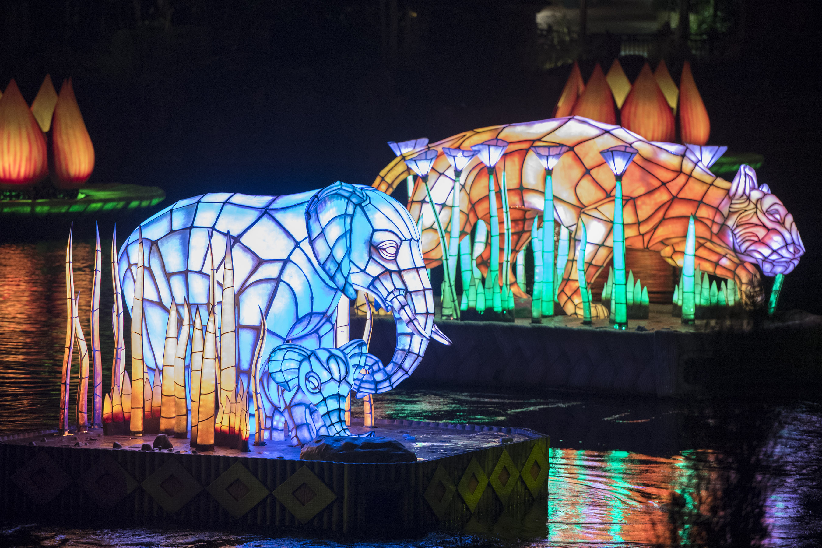 Rivers of Light floats