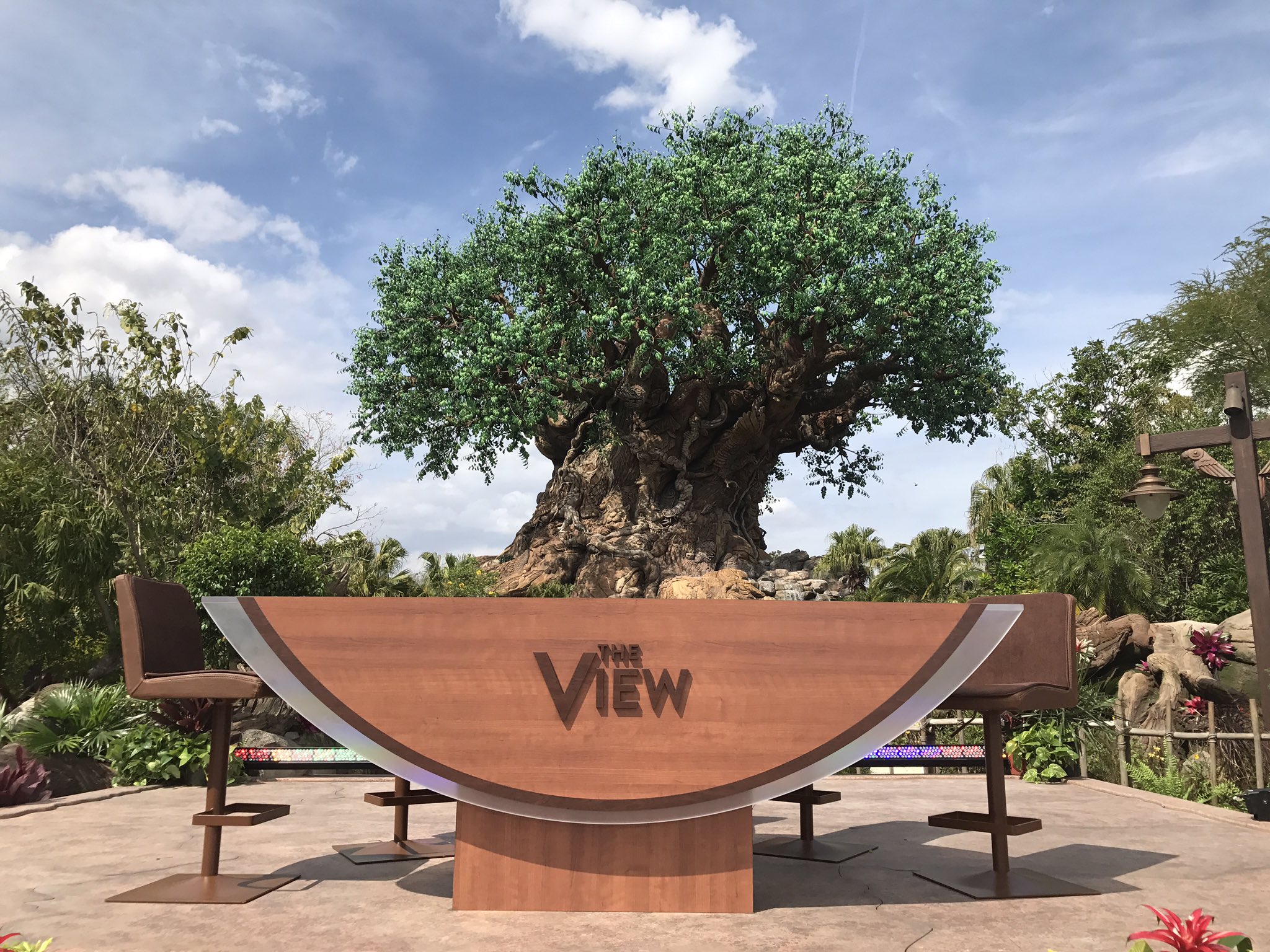 The View at Disney's Animal Kingdom