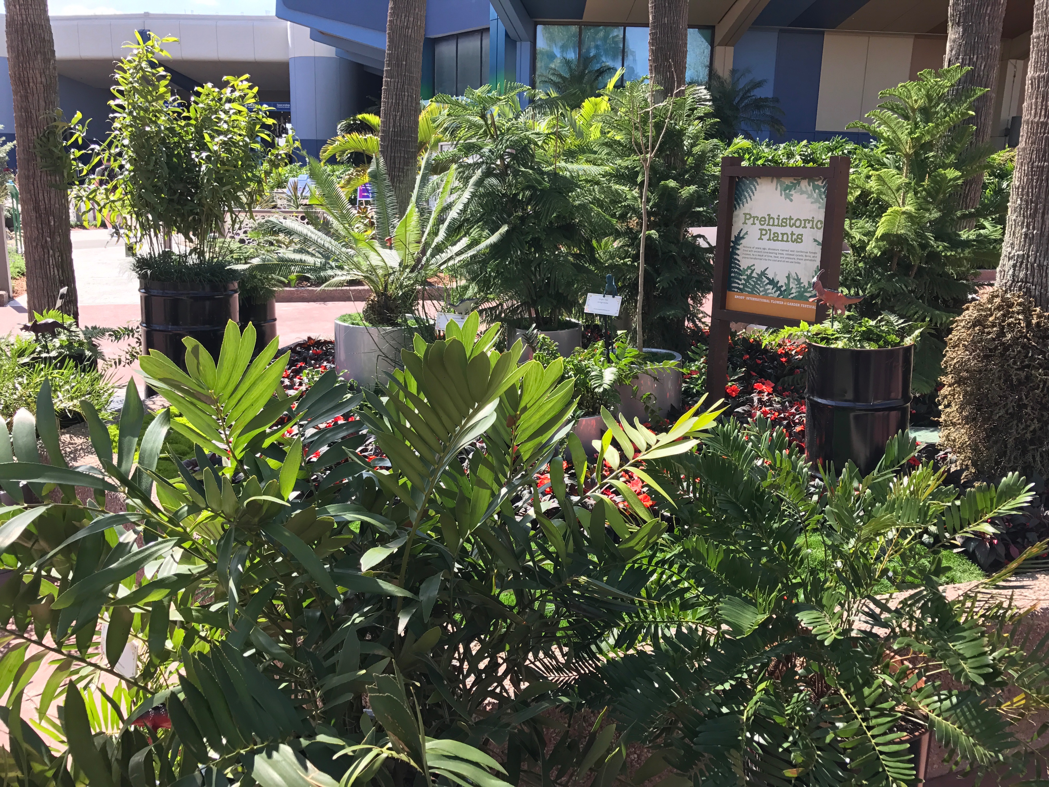 Prehistoric Plants - Future World East