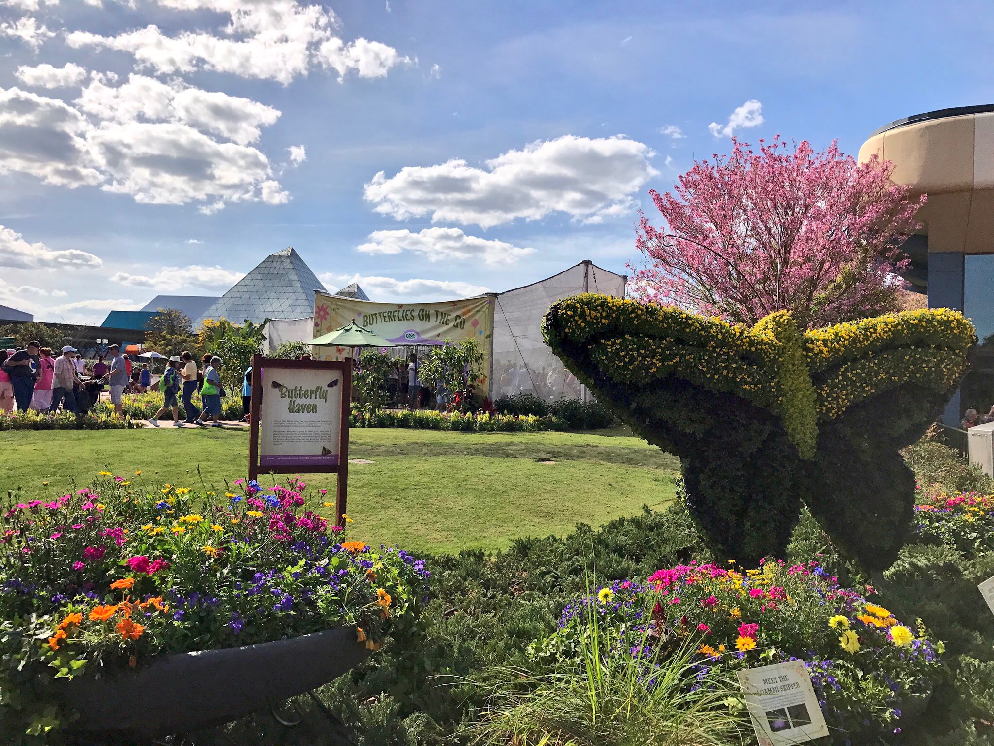 Butterflies On The Go Presented by GoGo Squeeze