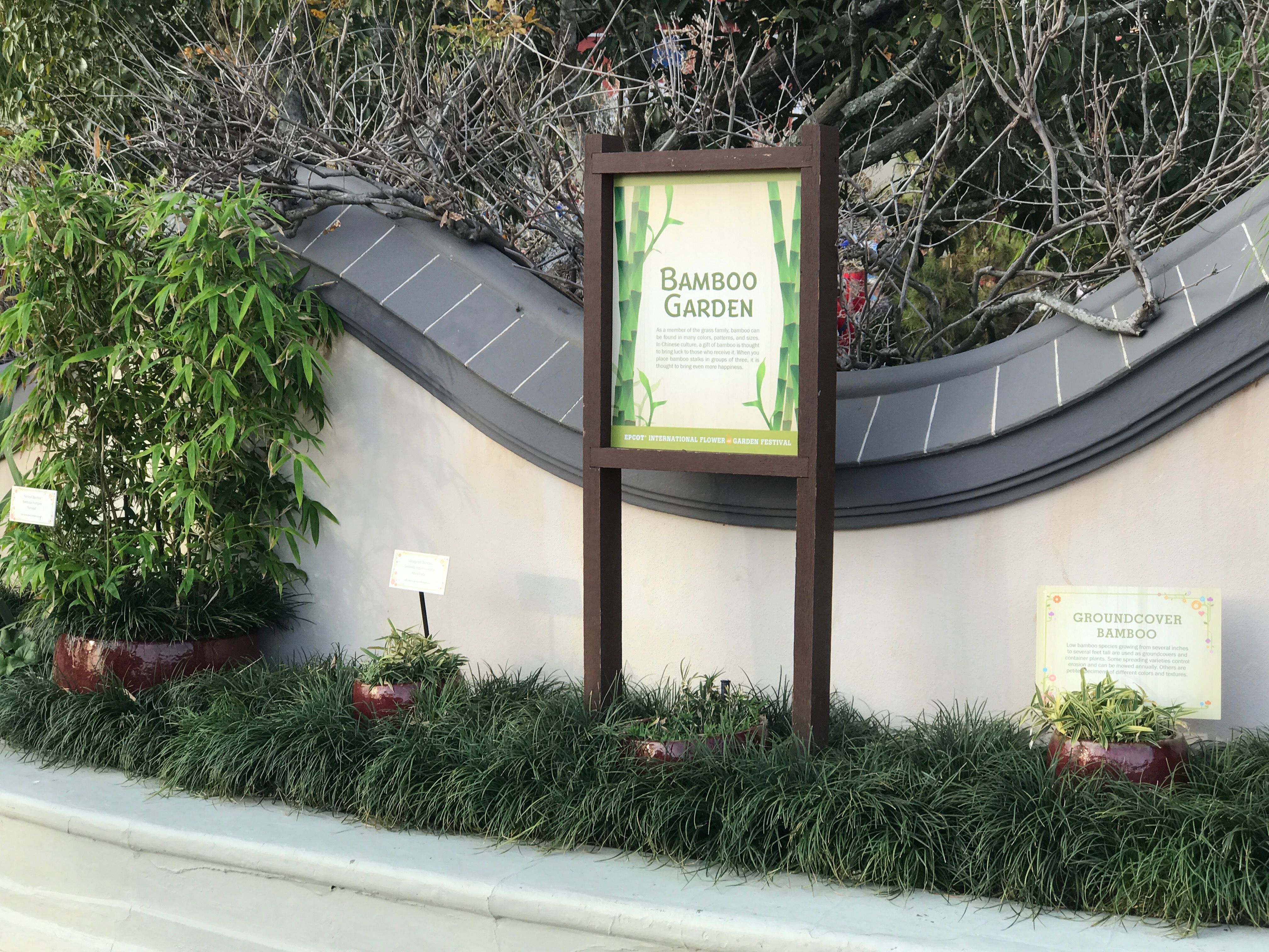 Bamboo Garden - China