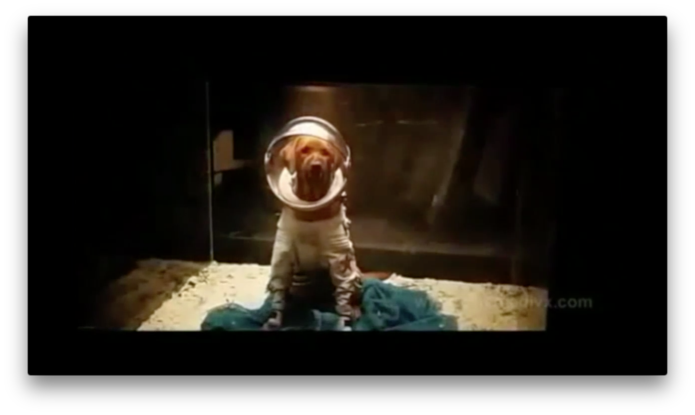 Cosmo the Space Dog, as seen in the first Guardians of the Galaxy