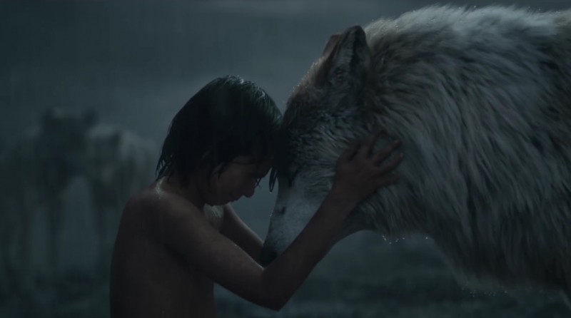 Mowgli Raised by Wolves