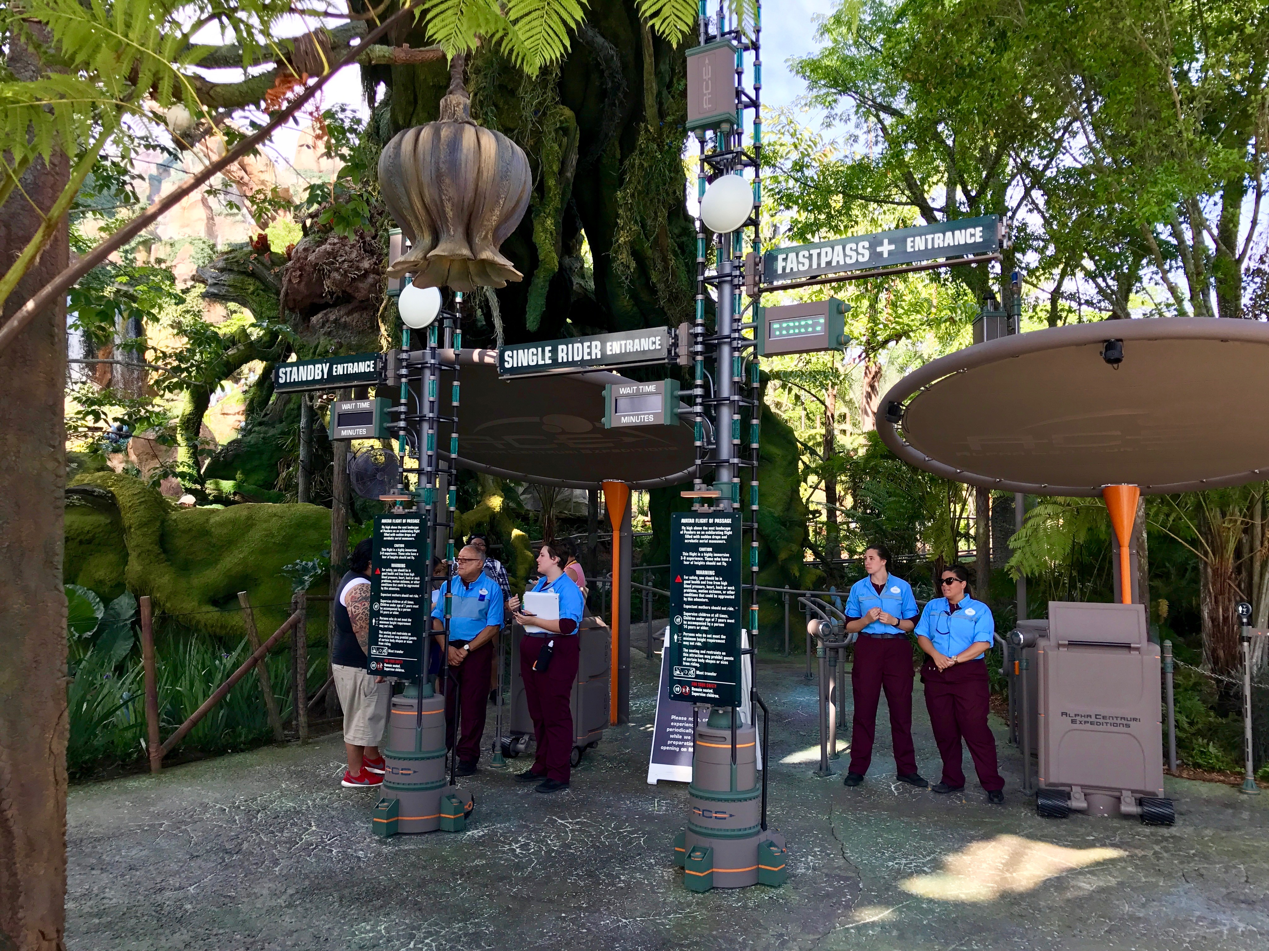 Avatar Flight of Passage Queue Entrance