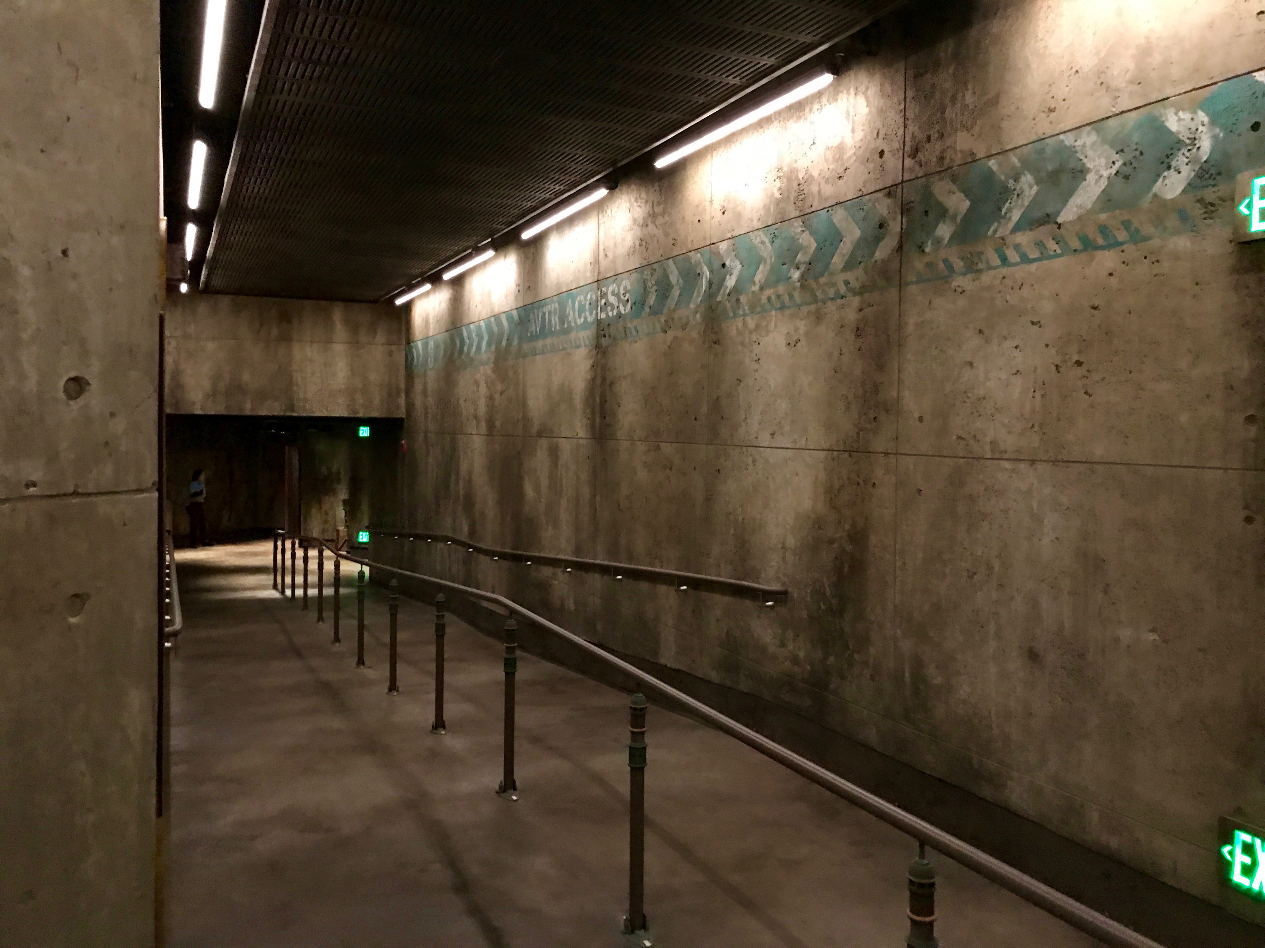 Avatar Flight of Passage Fastpass+ Queue