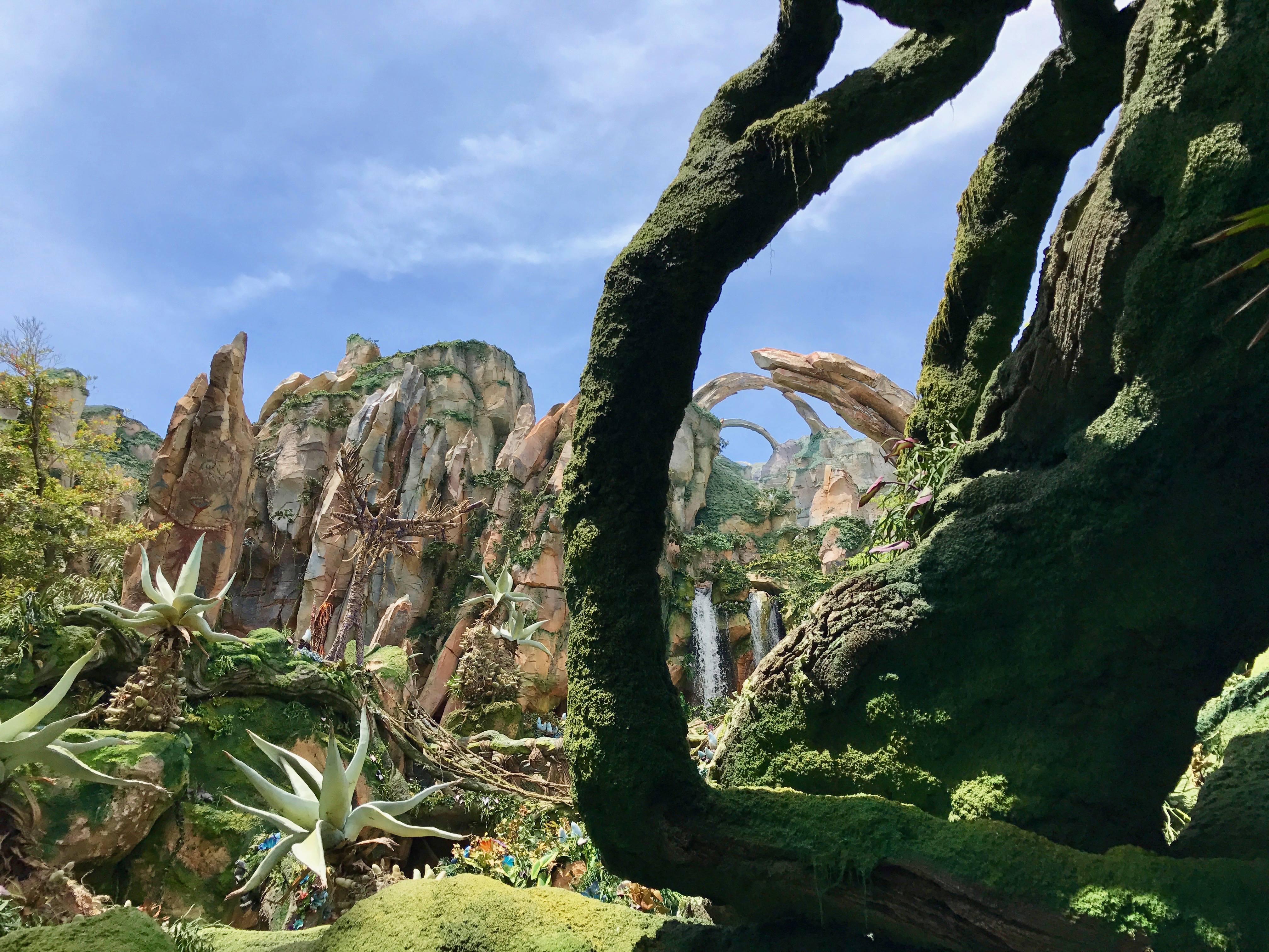 Avatar Flight of Passage Queue View