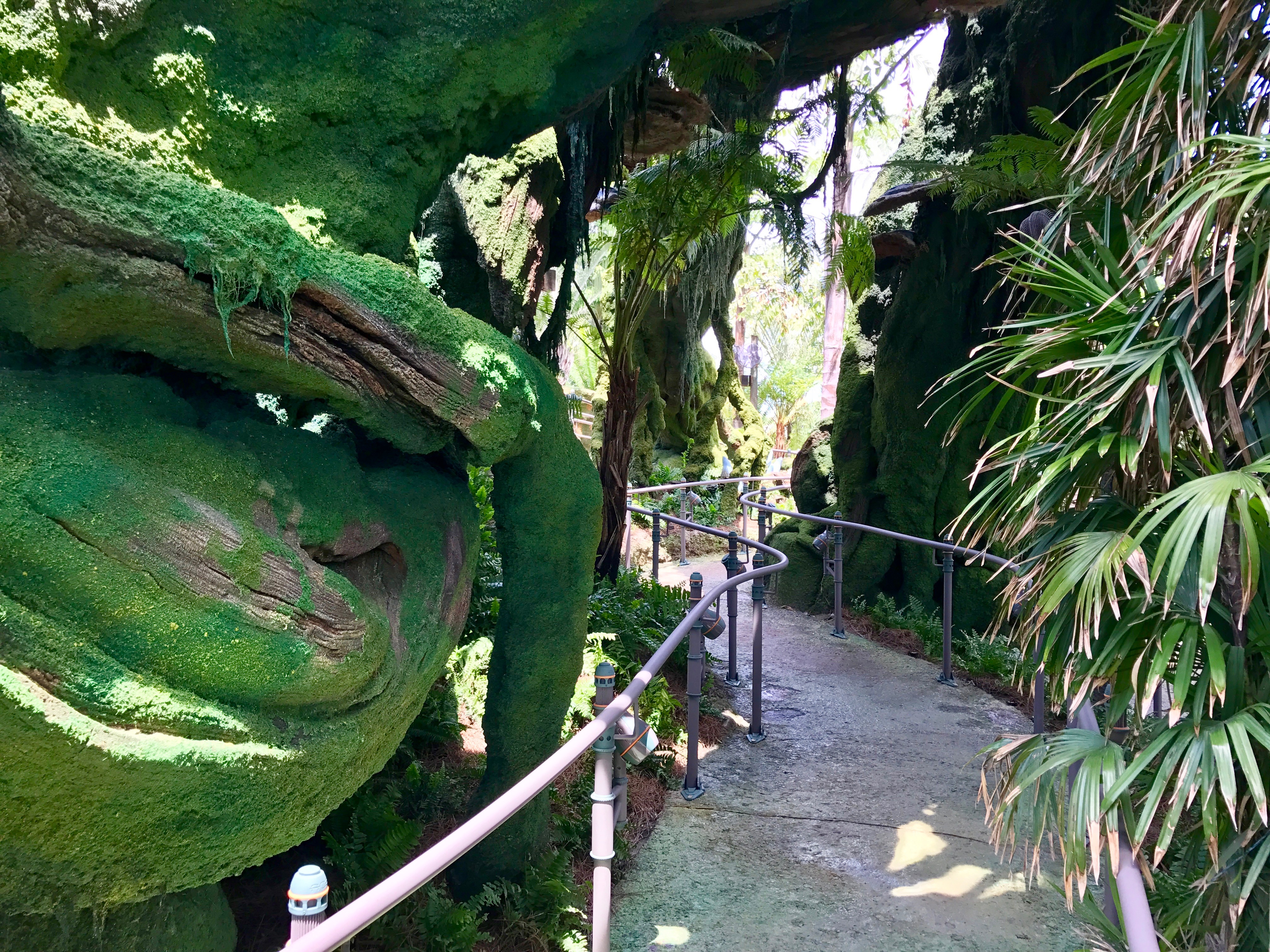 Avatar Flight of Passage Queue