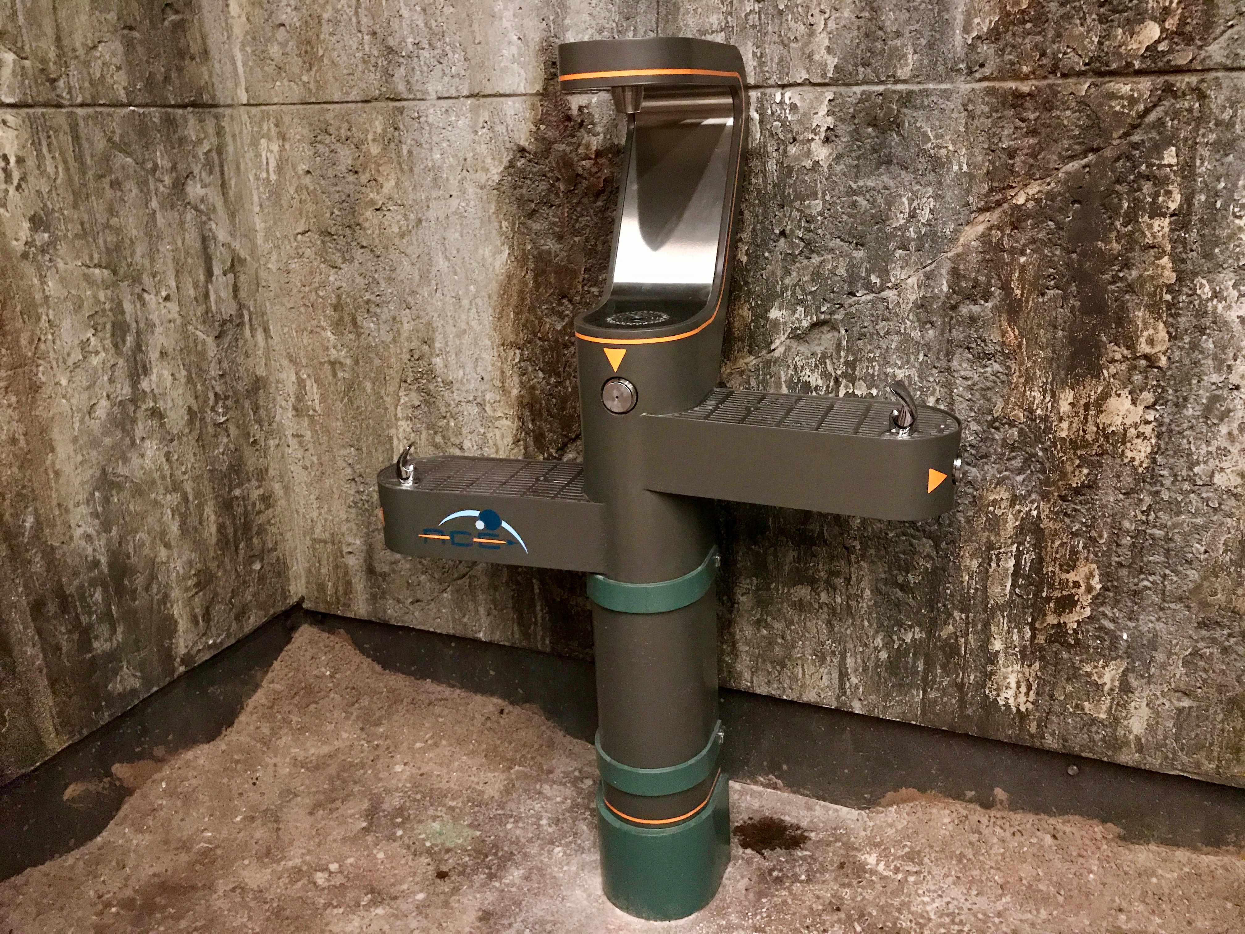 Avatar Flight of Passage Fastpass+ Queue