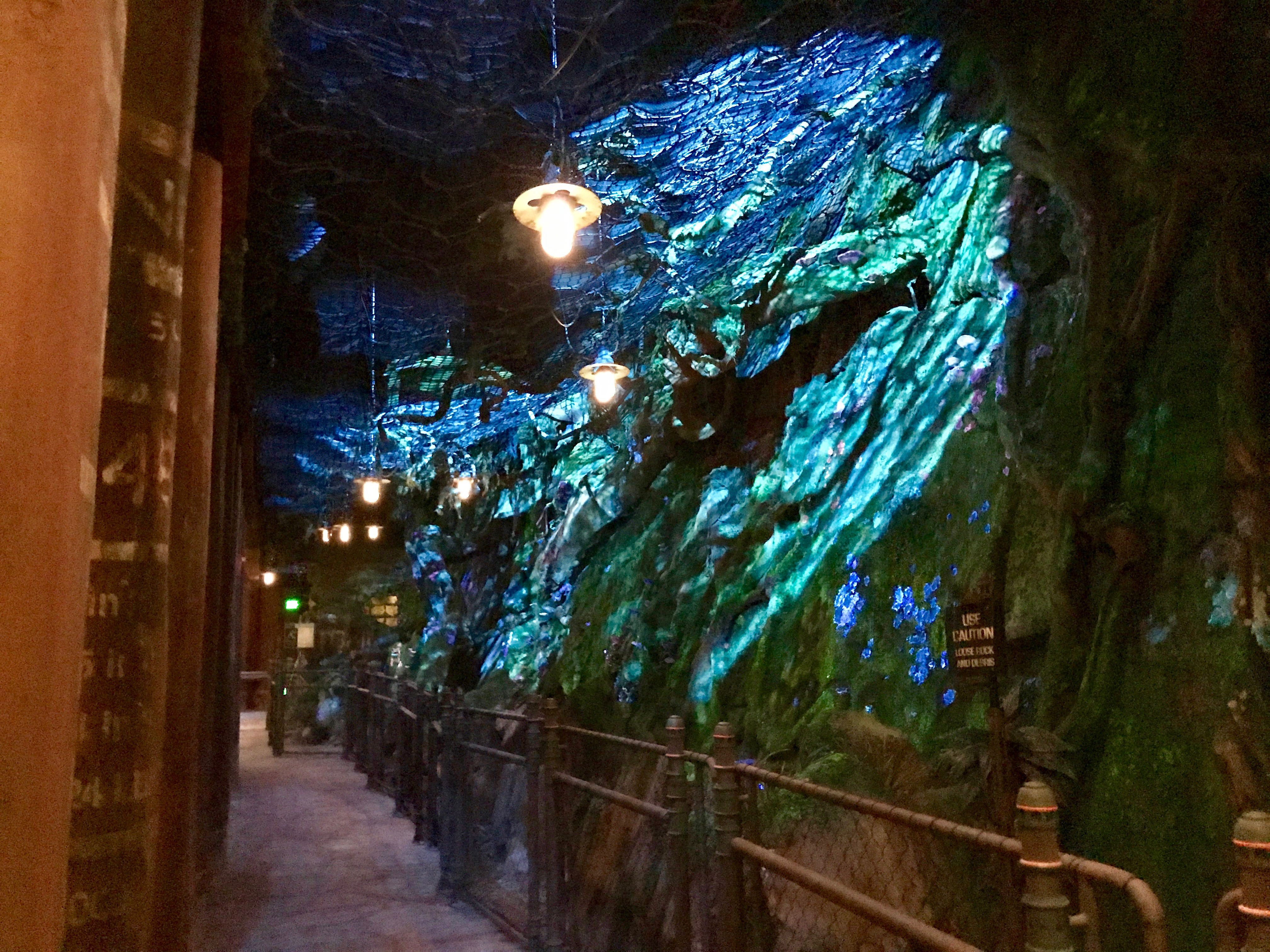 Avatar Flight of Passage Stand-By Queue