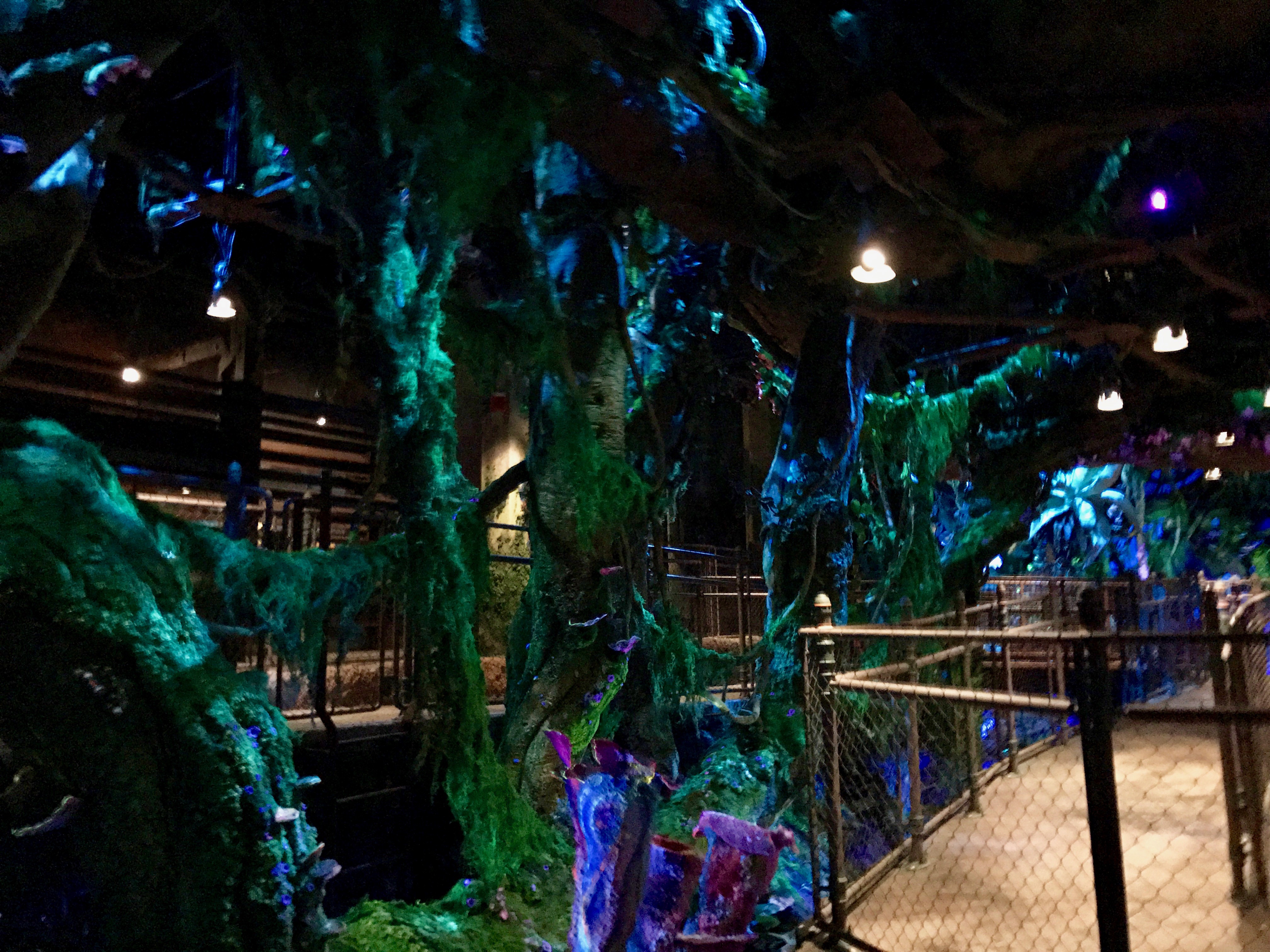 Avatar Flight of Passage Stand-By Queue