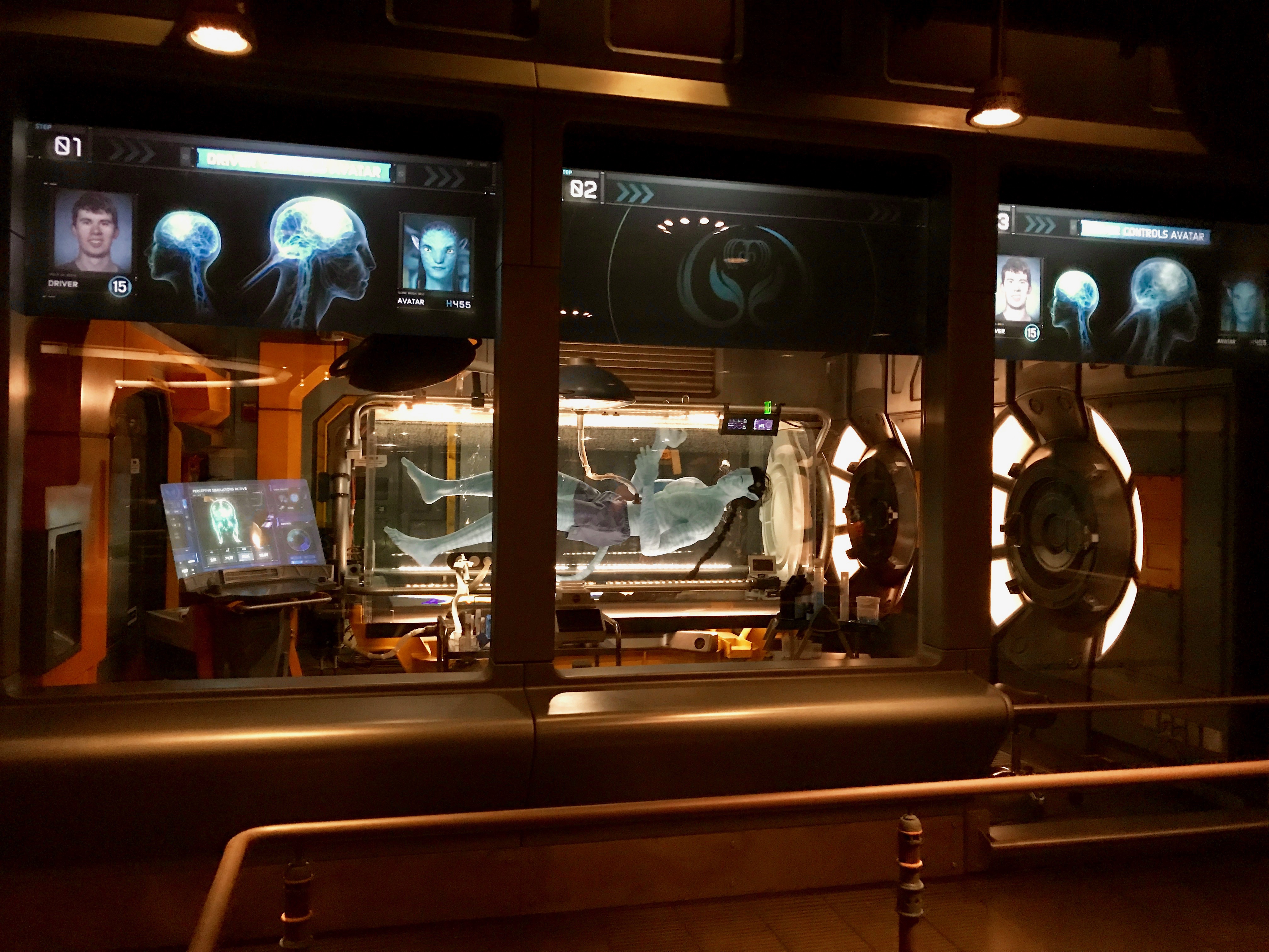 Avatar Flight of Passage Stand-By Queue