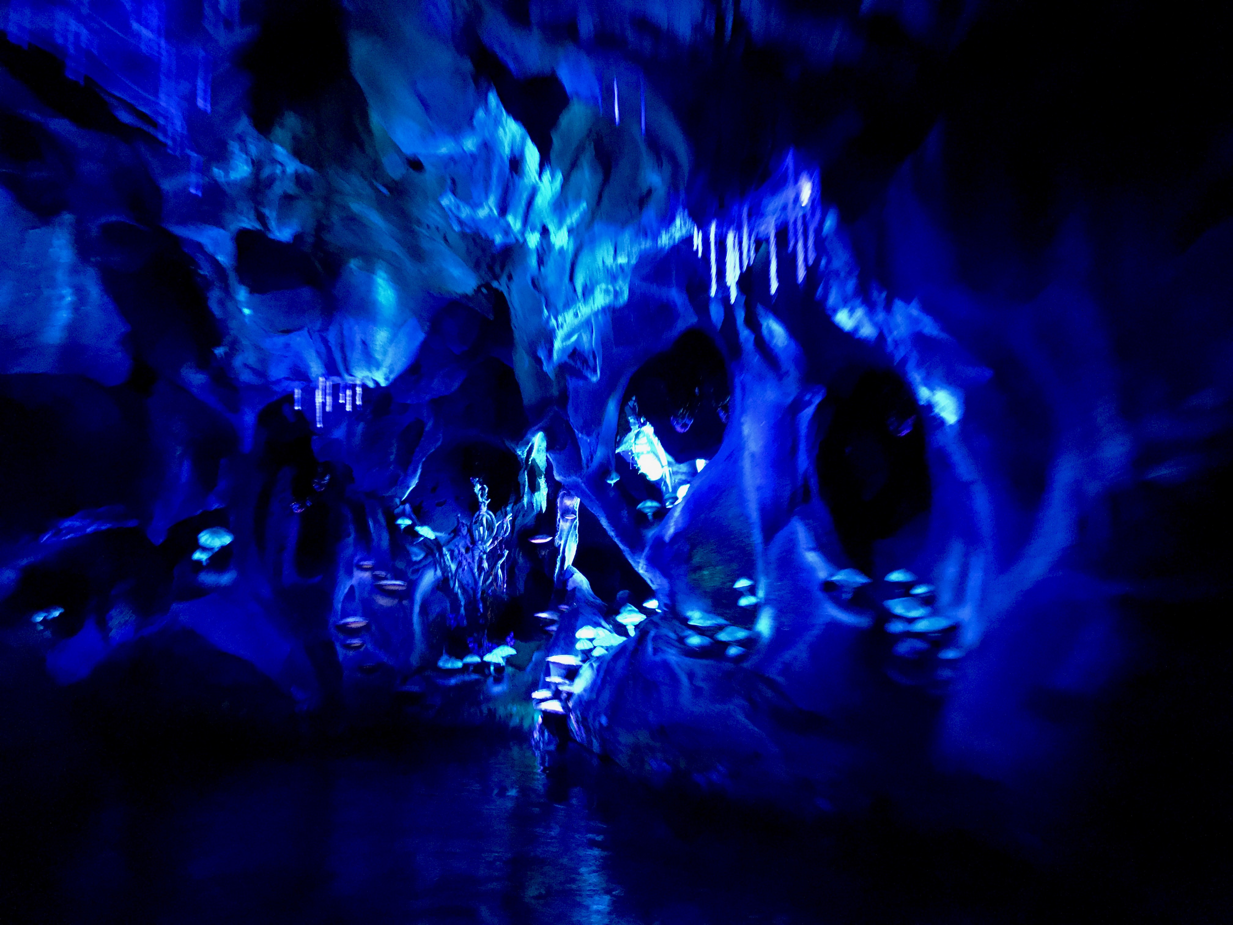 Na'vi River Journey bioluminescent rainforest.