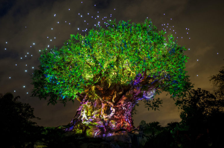 Tree of Life