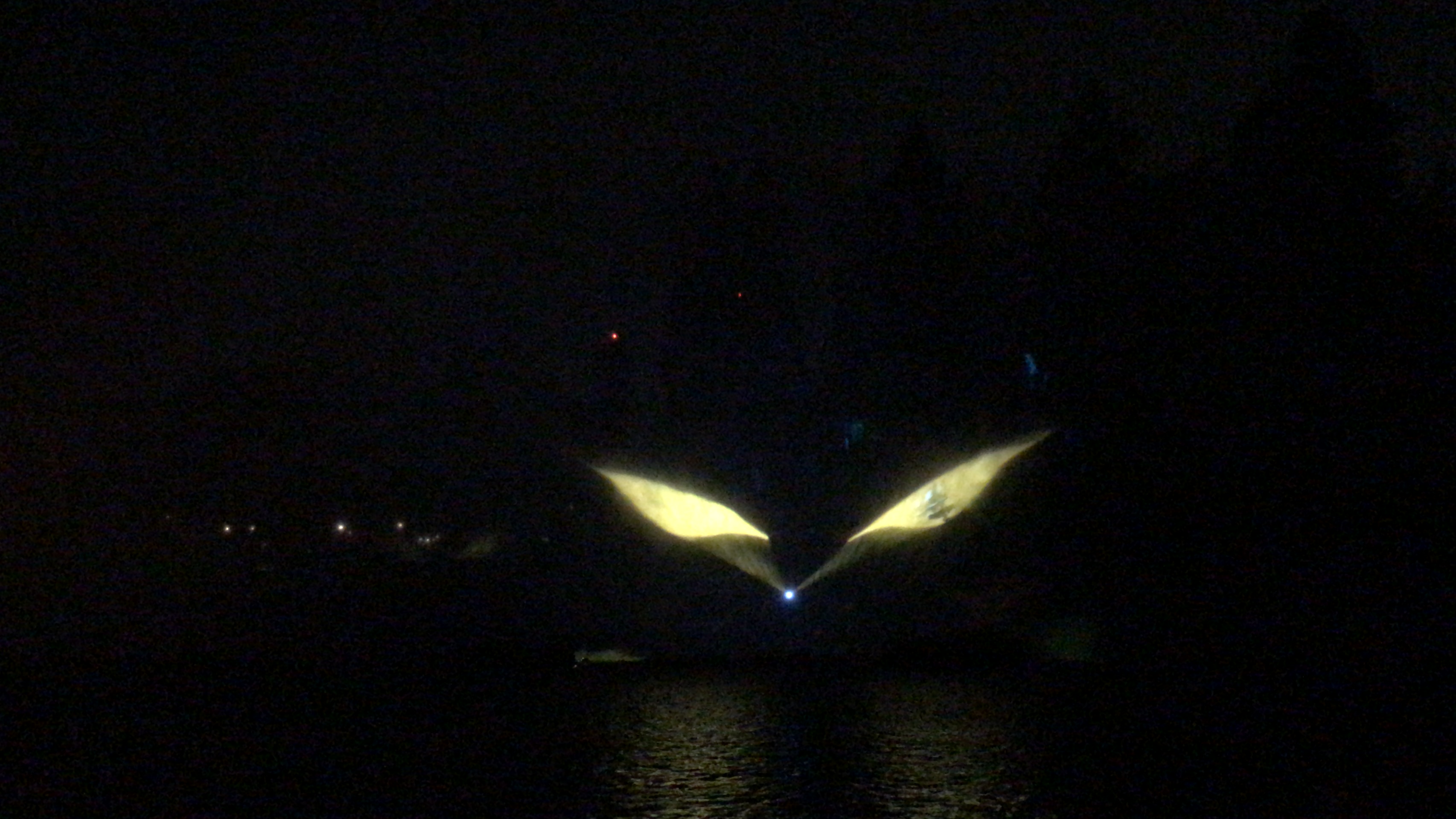 Disneyland - Fantasmic!