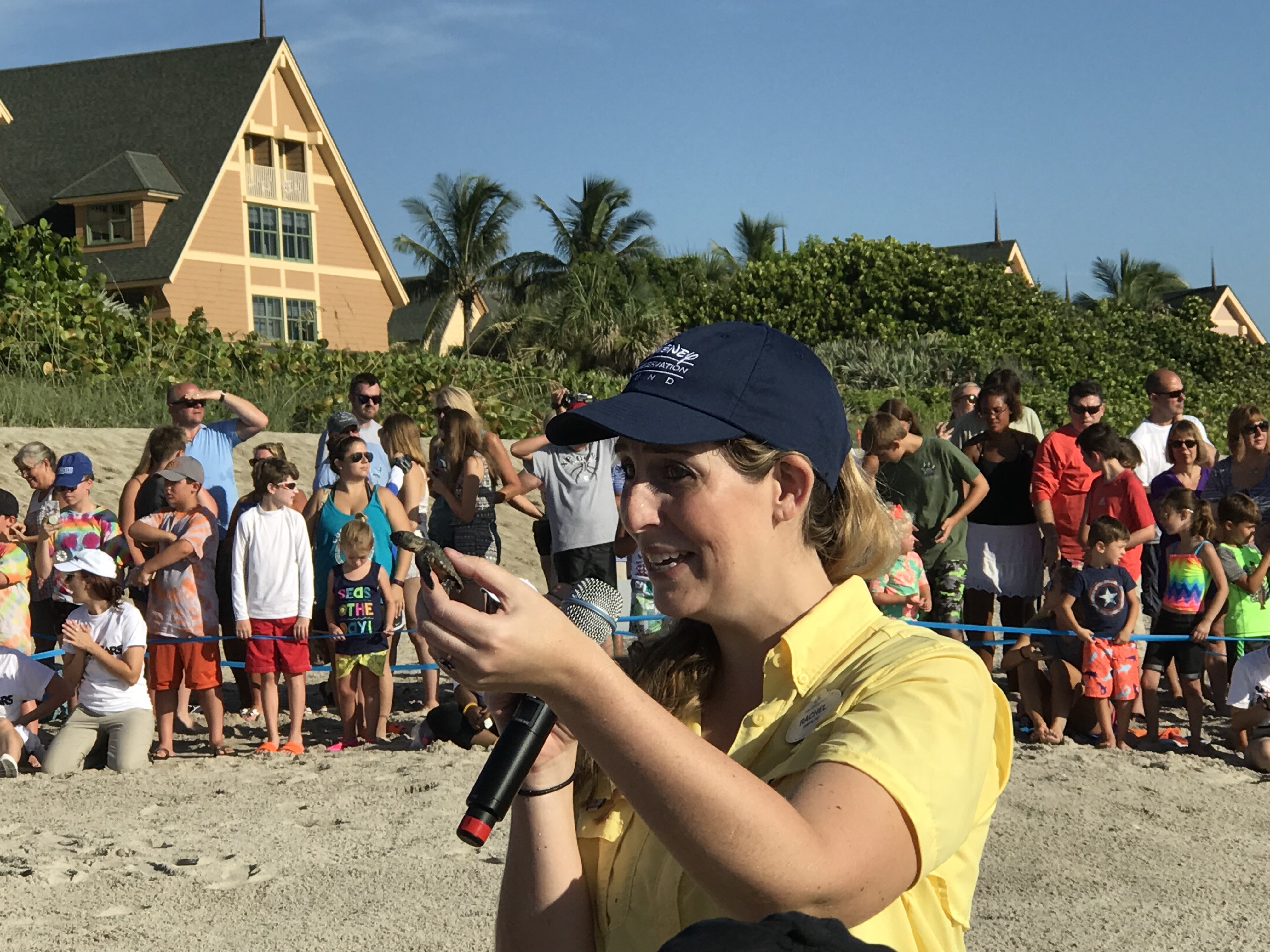 Tour de Turtles - Disney's Vero Beach Resort