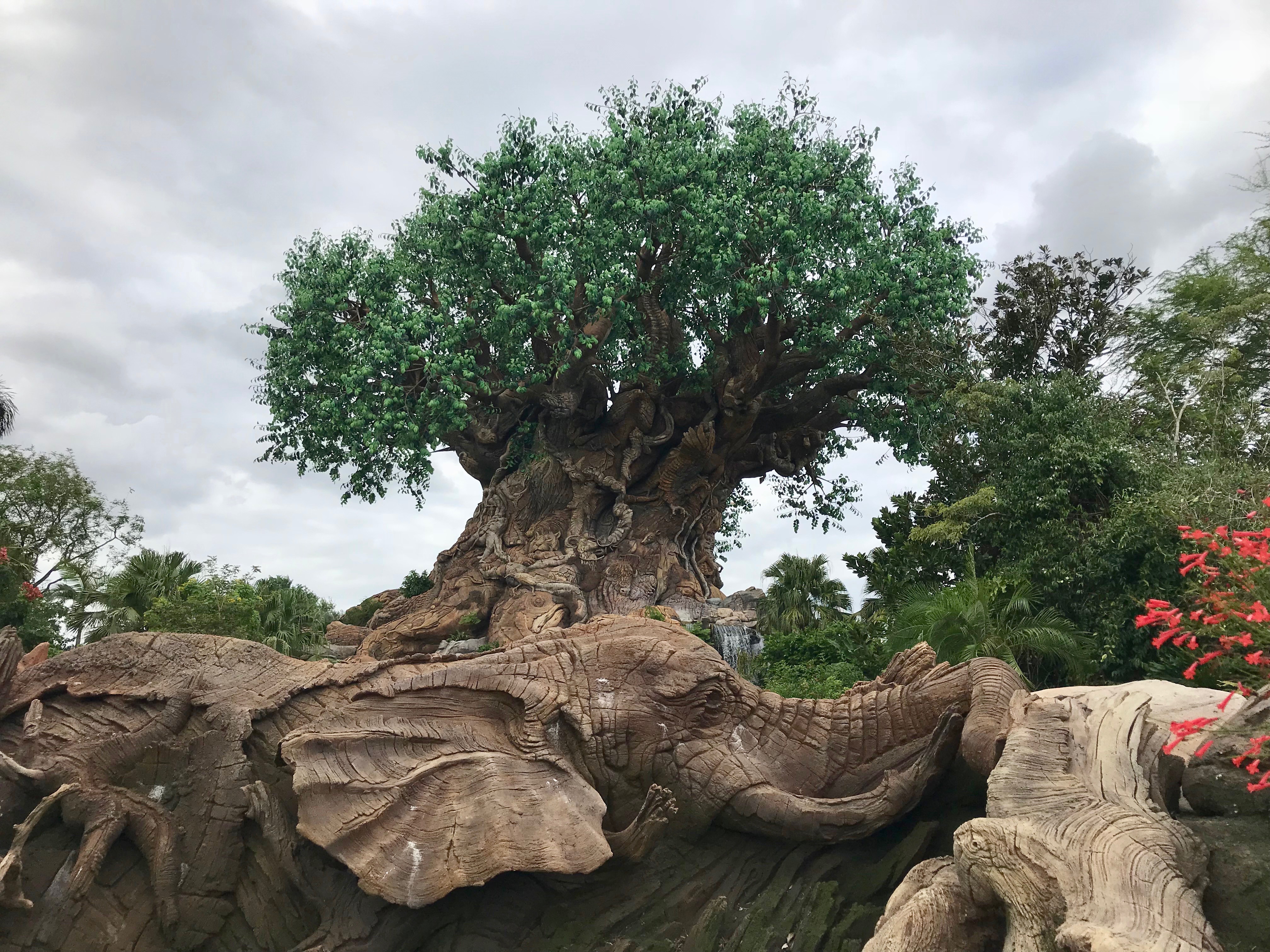 Disney's Animal Kingdom - Ultimate Nights of Adventure VIP Tour