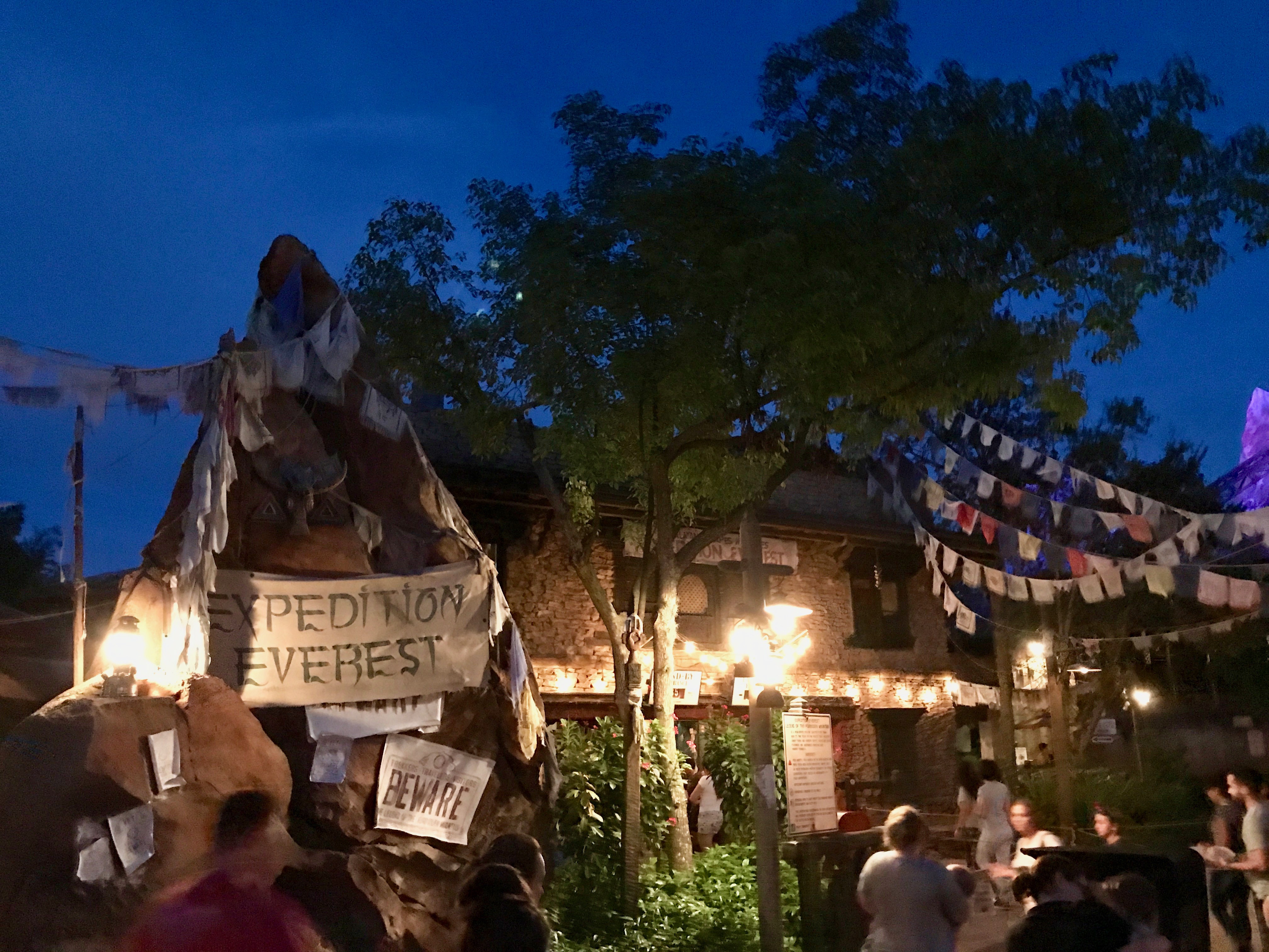 Disney's Animal Kingdom - Ultimate Nights of Adventure VIP Tour